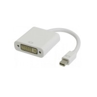 Adaptateur video mini dp male  dvi femelle v7 - pc / mac
